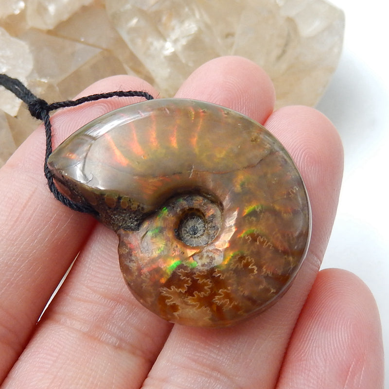 Natural Ammonite Fossil Pendant Bead 31x26x11mm, 12.7g