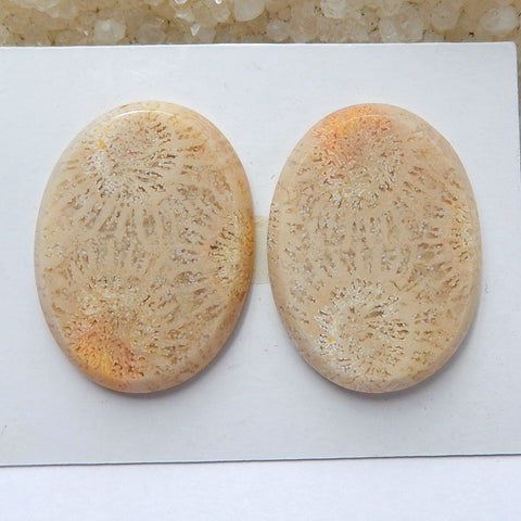 Natural Indonesian Fossil Coral Oval Gemstone Cabochon pair, 21x19x4mm, 7.5g - MyGemGarden