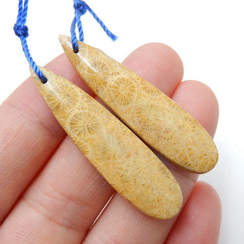 Natural Indonesian Fossil Coral Teardrop Earrings Pair, stone for Earrings making, 40x10x5mm, 4.9g - MyGemGarden