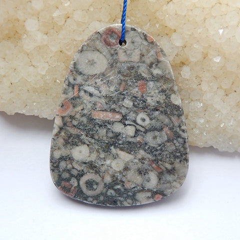 Natural Crinoid Fossil Gemstone Pendant Bead, Gemstone Focal Pendant, 43x33x8mm, 18.3g - MyGemGarden