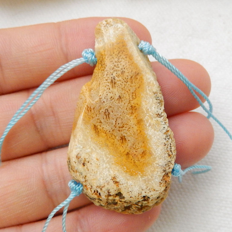 Natural Coconut Fossil Gemstone Pendant Bead, 45x24x7mm, 12.9g - MyGemGarden