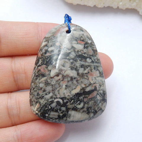 Natural Crinoid Fossil Gemstone Pendant Bead, Gemstone Focal Pendant, 43x33x8mm, 18.3g - MyGemGarden