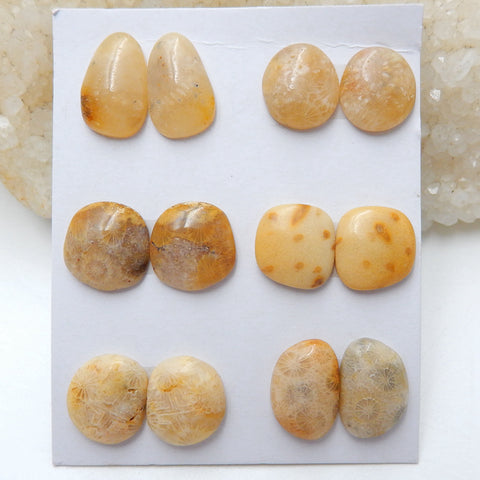 6 Pairs Natural Indonesian Fossil Coral Gemstone Cabochons, 12x11x3mm, 15x10x4mm, 10g - MyGemGarden