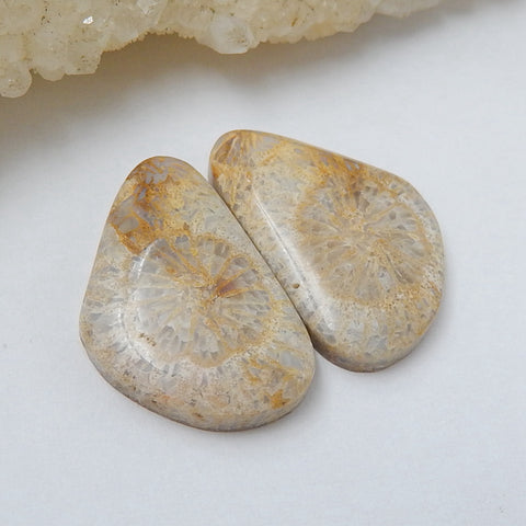 Natural Indonesian Fossil Coral Gemstone Cabochon Pair, 21x13x4mm, 3.4g - MyGemGarden