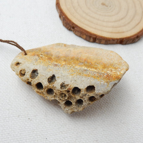 Natural Indonesian Fossil Coral Gemstone Pendant, Gemstone Rough, 55x38x17mm, 34.9g - MyGemGarden