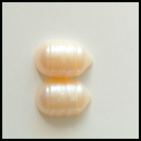 SALE Shell Gemstone Cabochon Pair, 14x9x5mm, 2.08g - MyGemGarden