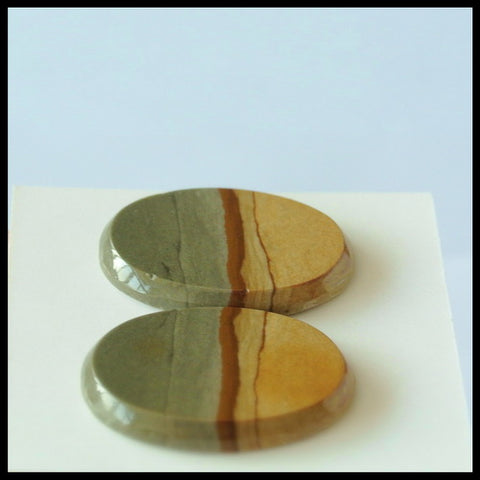 Natural US Biggs Picture Jasper Gemstone Cabochon Pair 23x17x3mm,5.2g - MyGemGarden