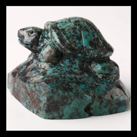 Turquoise Gemstone Tortoise Carved Ornament, 57x61x42mm, 194g - MyGemGarden