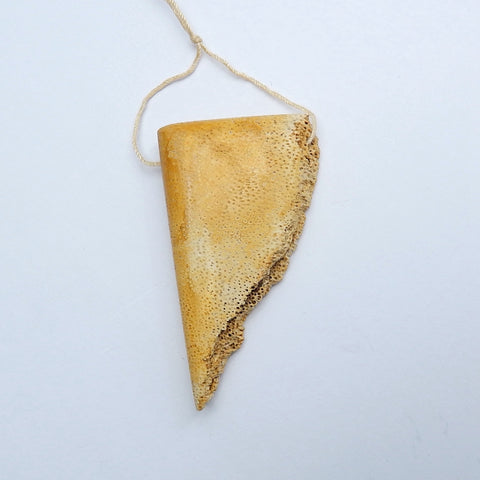 Natural Coconut Fossil Gemstone Pendant Bead, 57x32x12mm, 21g - MyGemGarden