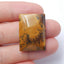 Natural Us Biggs Jasper Rectangle Gemstone Cabochon, 24x17x5mm, 3.9g - MyGemGarden