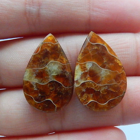 Natural Waterdrop Ammonite Fossil Cabochon Pairs 24x15x4mm 4.6g - MyGemGarden