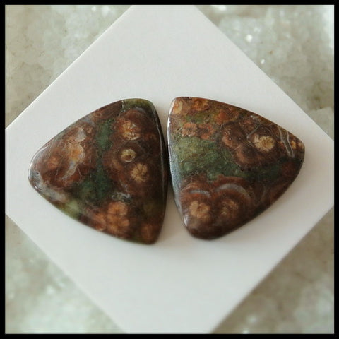 Natural Mushroom Jasper Gemstone Cabochon Pair 19x4mm,4.8g - MyGemGarden