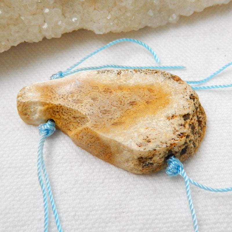 Natural Coconut Fossil Gemstone Pendant Bead, 45x24x7mm, 12.9g - MyGemGarden