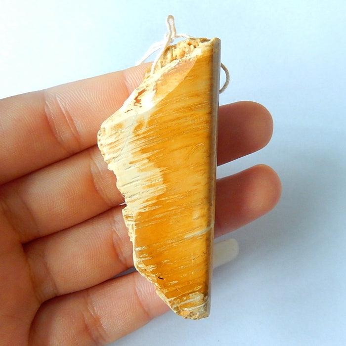 Natural Palm Pendant 68x28x12mm, 27.5g - MyGemGarden