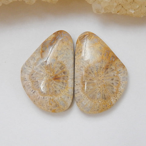 Natural Indonesian Fossil Coral Gemstone Cabochon Pair, 21x13x4mm, 3.4g - MyGemGarden