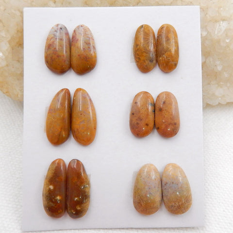 Sale 6 Pairs Indonesian Fossil Coral Gemstone Cabochons, 15x8x4mm, 15x8.5x4mm, 8.7g - MyGemGarden