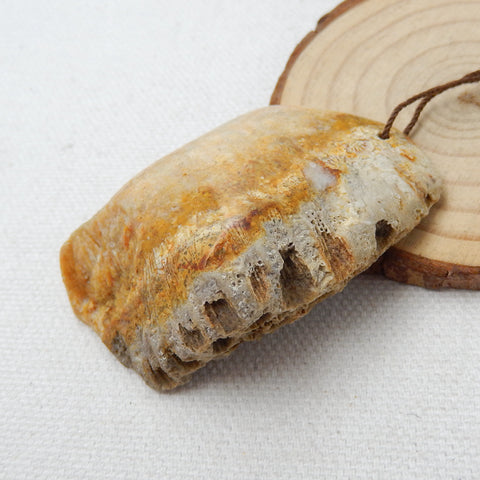 Natural Indonesian Fossil Coral Gemstone Pendant, Gemstone Rough, 55x38x17mm, 34.9g - MyGemGarden