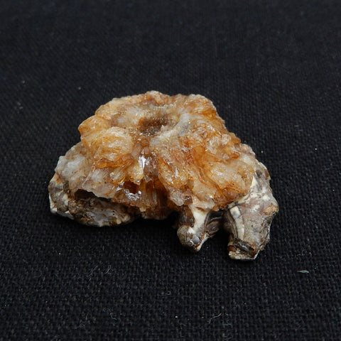 Natural rare mushroom agate nugget gemstone specimen, 37x30x14mm, 15.3g - MyGemGarden