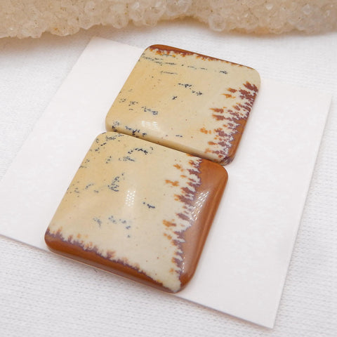 Us Biggs Jasper Square Gemstone Cabochon Pair, 20x20x3mm, 4.9g