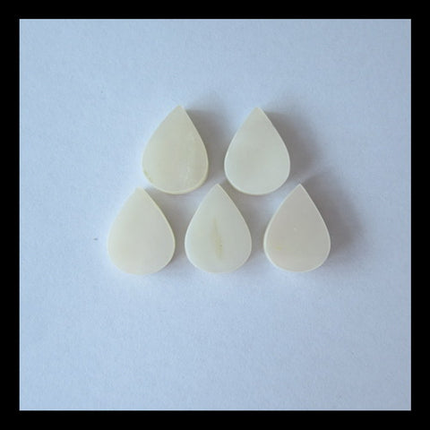 5 PCS Shell Cabochon 13x10x3mm,3.6g - MyGemGarden