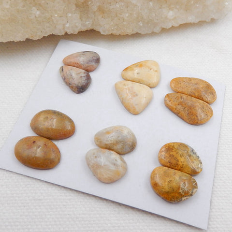 Sale 6 Pairs Indonesian Fossil Coral Gemstone Cabochons, 15x10x4mm, 18x10x4mm, 10.6g - MyGemGarden