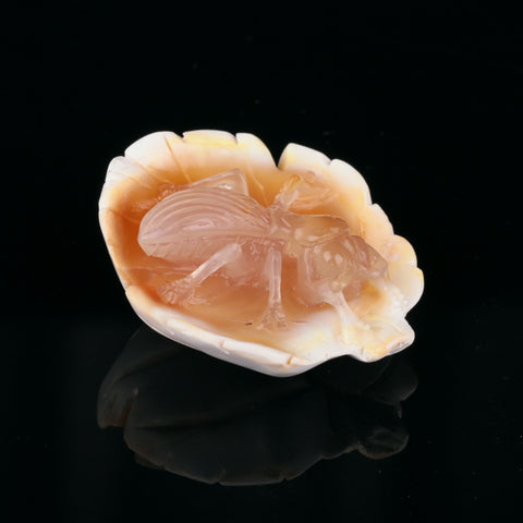 Red Agate Carved Pendant, 47x38x19mm, 27.7g - MyGemGarden