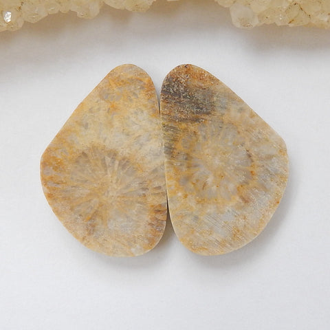 Natural Indonesian Fossil Coral Gemstone Cabochon Pair, 21x13x4mm, 3.4g - MyGemGarden