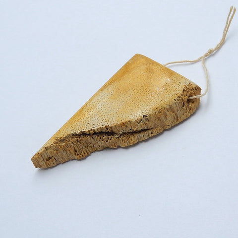 Natural Coconut Fossil Gemstone Pendant Bead, 57x32x12mm, 21g - MyGemGarden