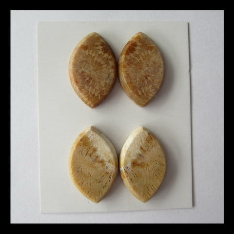 fossil Coral Cabochon,26x17x4mm,13g - MyGemGarden