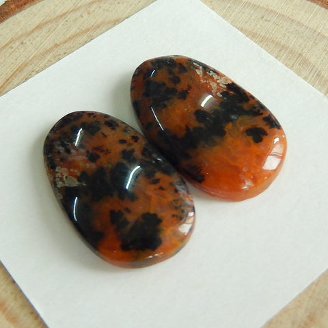 Natural petrified wood  Gemstone Cabochon Pair, 21x12x4mm, 3.7g - MyGemGarden