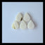 5 PCS Shell Cabochon 13x10x3mm,3.6g - MyGemGarden