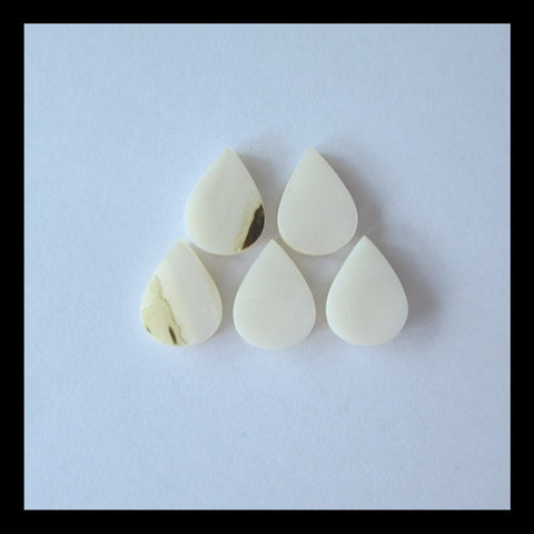 5 PCS Shell Cabochon 13x10x3mm,3.6g - MyGemGarden