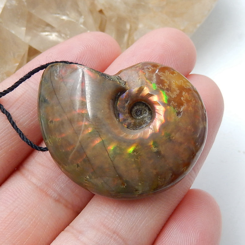 Natural Ammonite Fossil Pendant Bead 31x26x11mm, 12.7g