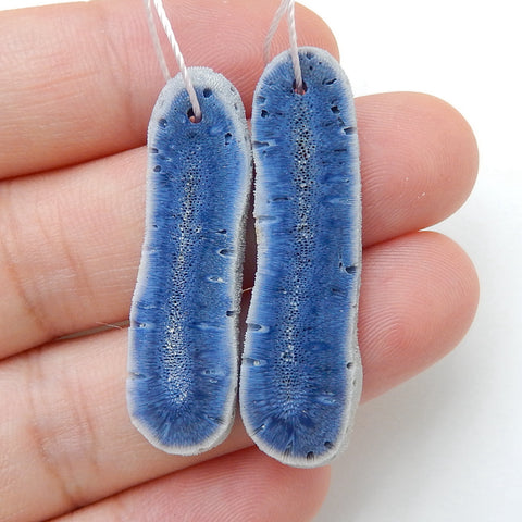 Natural blue coral Earrings Pair, stone for Earrings making, 38x11x2mm,34x10x2mm, 3.2g - MyGemGarden