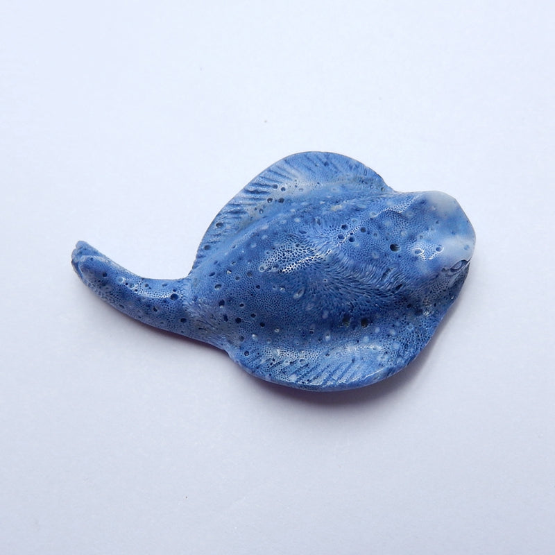 New Design!! Carved Blue Fossil Coral ray Gemstone Cabochon, 49x32x12mm, 12.1g - MyGemGarden