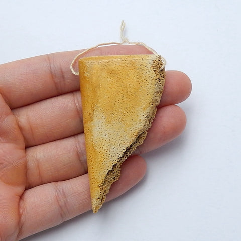 Natural Coconut Fossil Gemstone Pendant Bead, 57x32x12mm, 21g - MyGemGarden