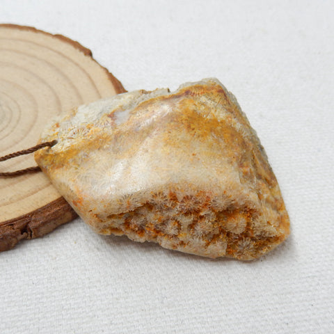 Natural Indonesian Fossil Coral Gemstone Pendant, Gemstone Rough, 55x38x17mm, 34.9g - MyGemGarden