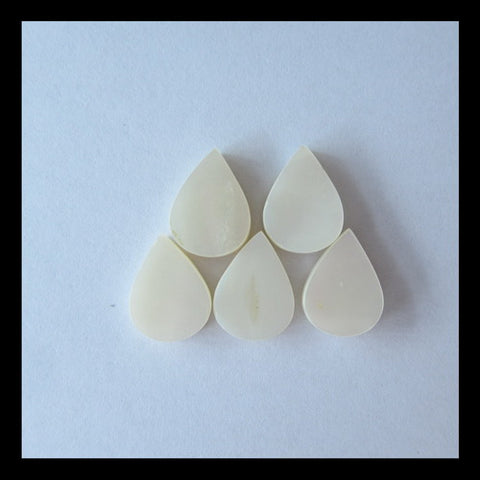 5 PCS Shell Cabochon 13x10x3mm,3.6g - MyGemGarden