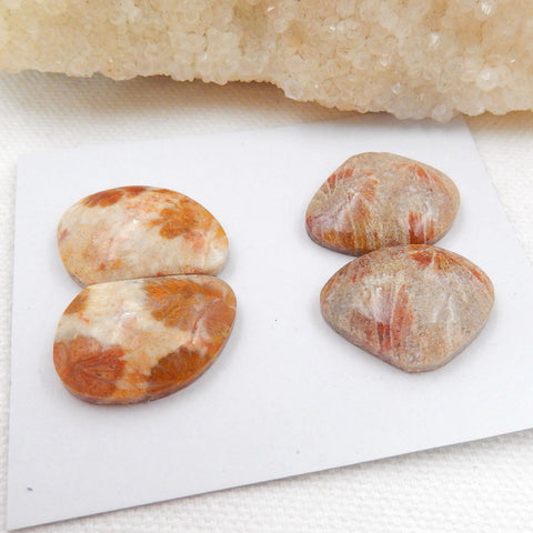 Sale 2 Pairs Indonesian Fossil Coral Gemstone Cabochons, 22x17x6mm, 22x15.5x6mm, 12.3g - MyGemGarden