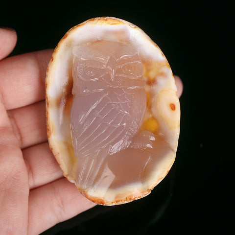 Red Agate Carved Owl Cabochon, 67x48x19mm, 61.1g - MyGemGarden