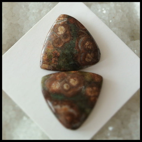 Natural Mushroom Jasper Gemstone Cabochon Pair 19x4mm,4.8g - MyGemGarden