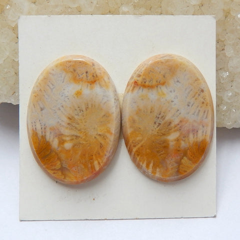 Natural Indonesian Fossil Coral Oval Gemstone Cabochon Pair, 25x18x3mm, 6.1g - MyGemGarden