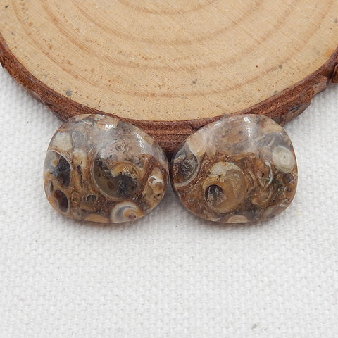 Natural Ammonite Fossil Cabochon Pair, 18x15x5mm, 4.5g