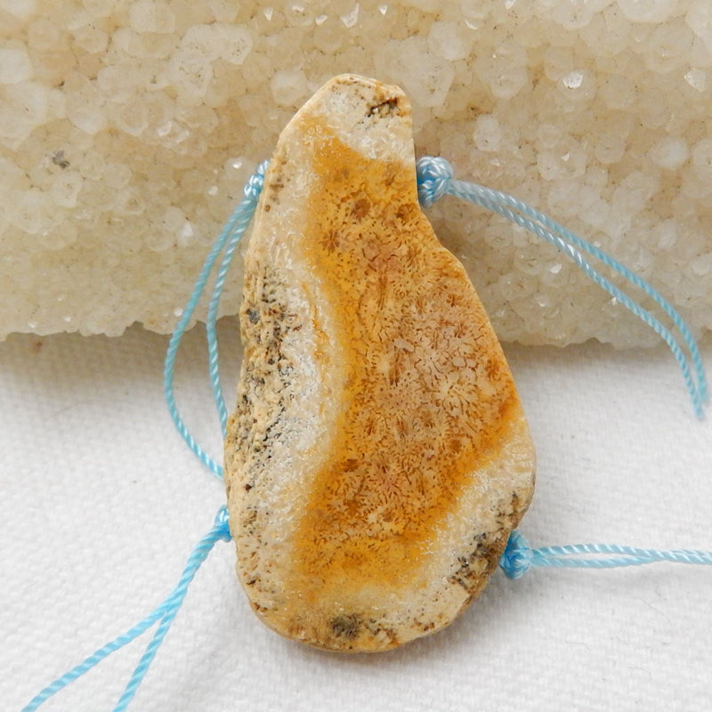 Natural Coconut Fossil Gemstone Pendant Bead, 45x24x7mm, 12.9g - MyGemGarden