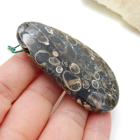 Natural Ammonite Fossil Drilled Gemstone Pendant Bead, 60x34x9mm, 28.9g - MyGemGarden