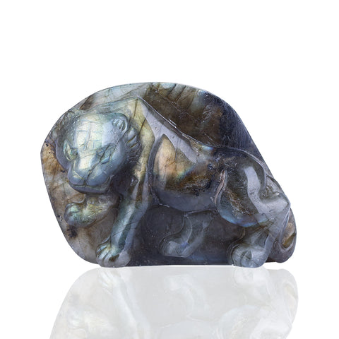 Natural Carved Labradorite Tiger Drilled Pendant Bead, 61x45x15mm, 44.2g - MyGemGarden