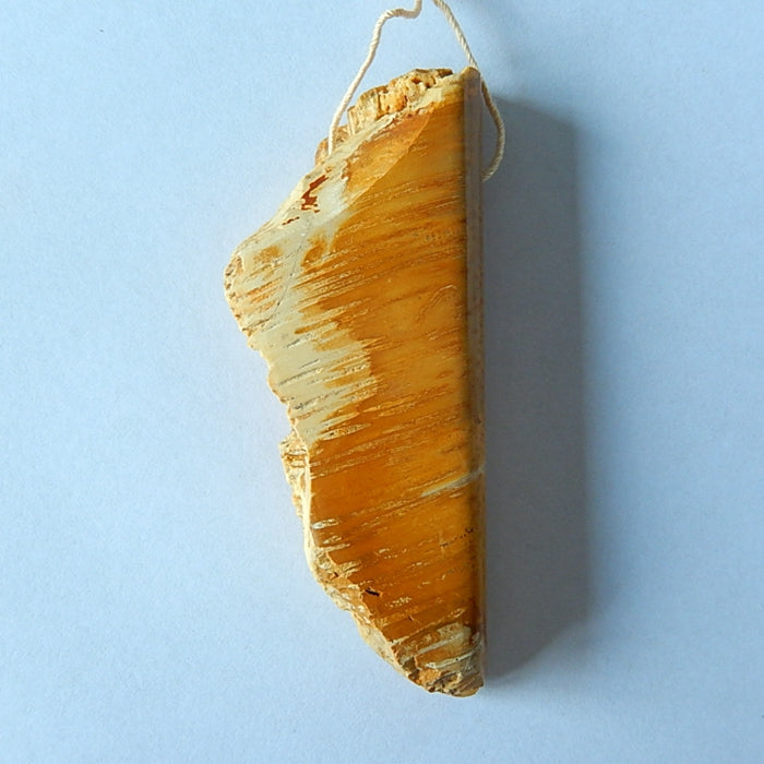 Natural Palm Pendant 68x28x12mm, 27.5g - MyGemGarden