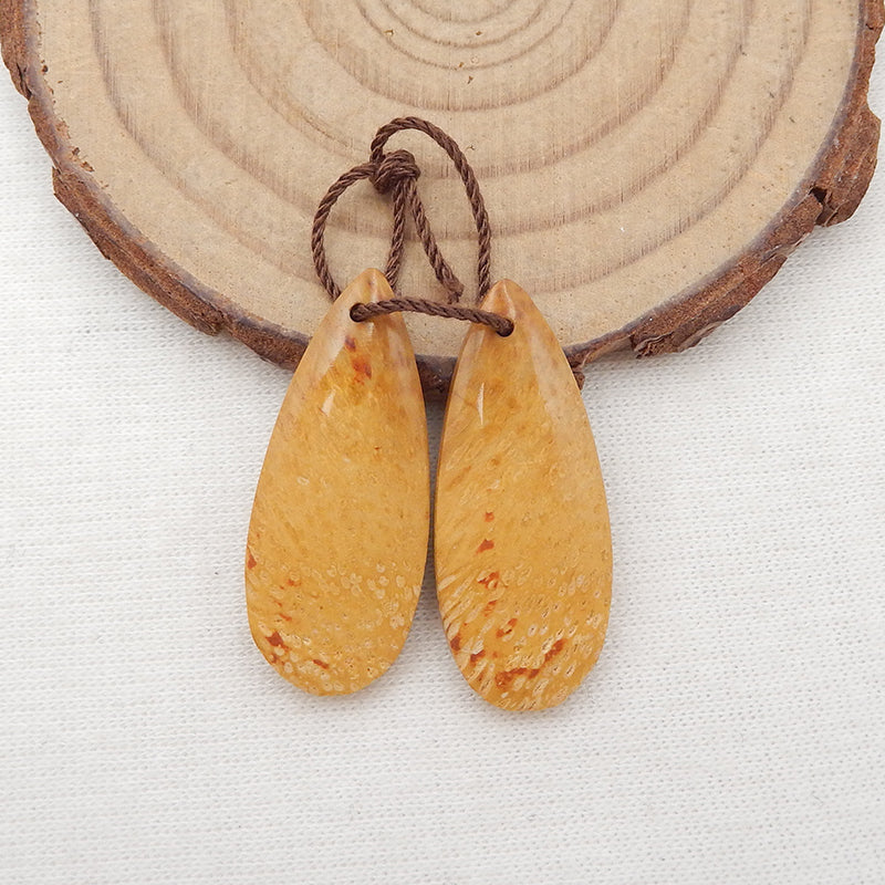Paire de boucles d'oreilles en forme de larme fossile de palmier naturel, 30x12x5mm, 4.7g