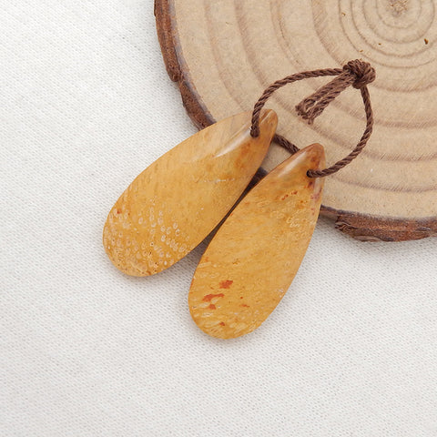 Paire de boucles d'oreilles en forme de larme fossile de palmier naturel, 30x12x5mm, 4.7g