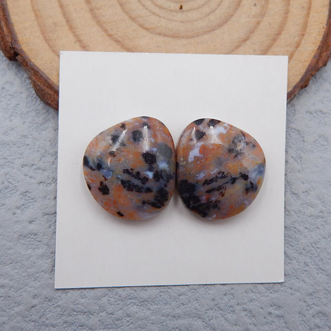 Paire de cabochons en pierre gemme d'opale en bois pétrifié naturel, 17x14x5mm, 4.7g